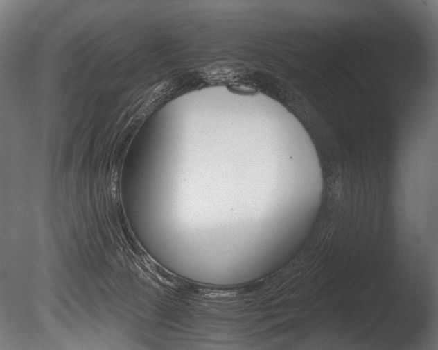 X0000086040081200703230905