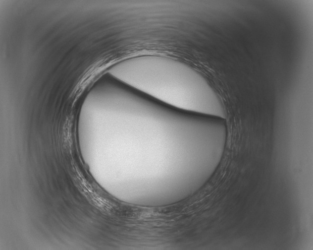 X0000086040098200703230905