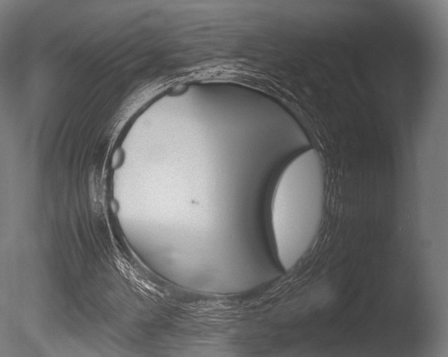 X0000086040100200703230905