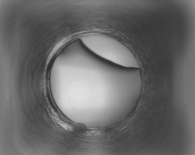 X0000086040102200703230905