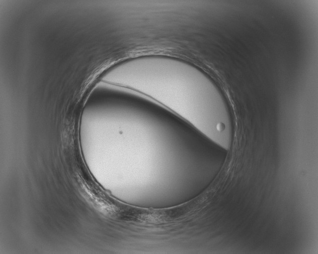 X0000086040107200703230904