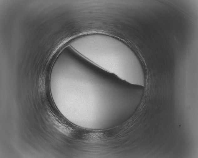 X0000086040108200703230904