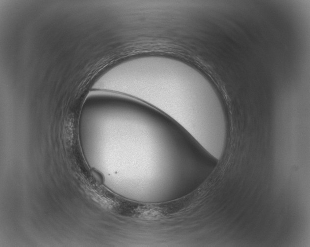 X0000086040113200703230904