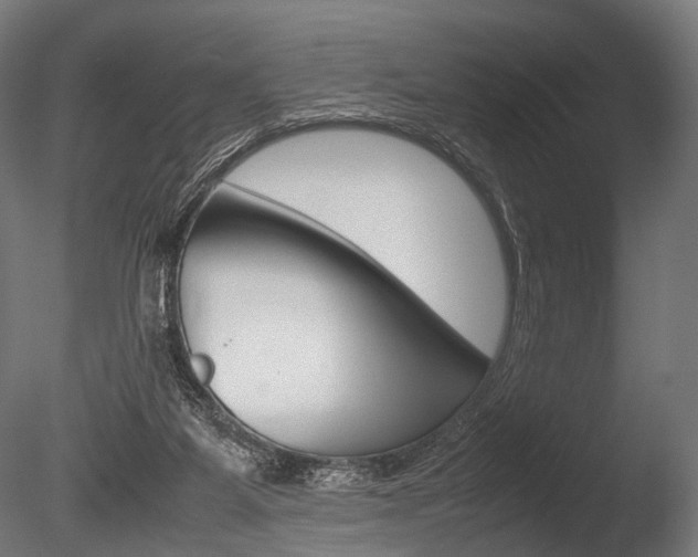 X0000086040115200703230904