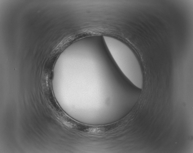 X0000086040117200703230904