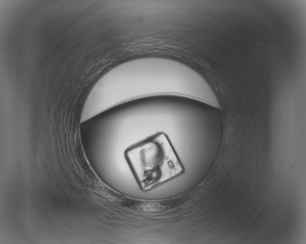 X0000086040121200703230904