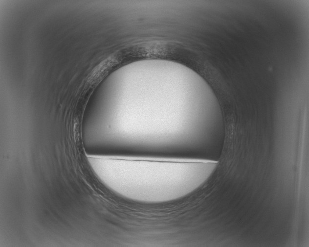 X0000086040123200703230904