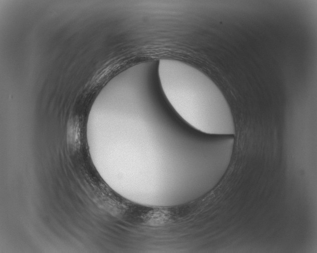 X0000086040124200703230904