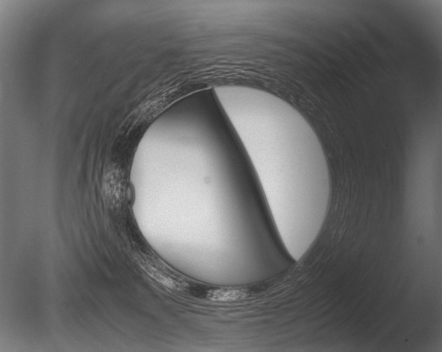 X0000086040135200703230904