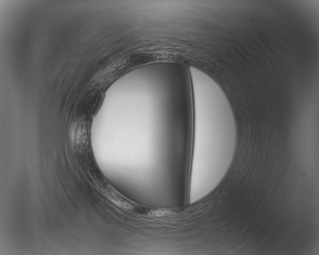 X0000086040137200703230904