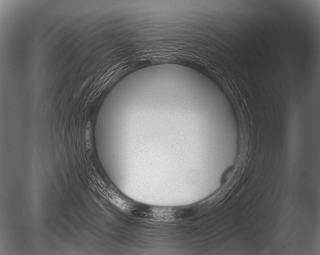 X0000086040144200703230904