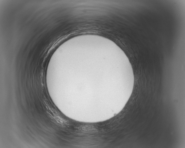 X0000086040146200703230903