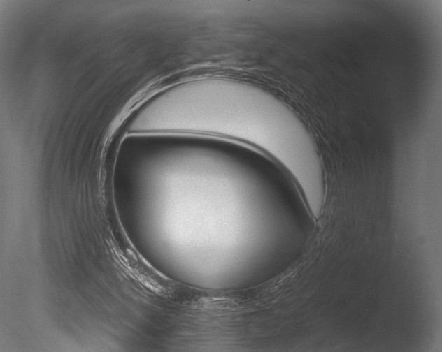 X0000086040150200703230903