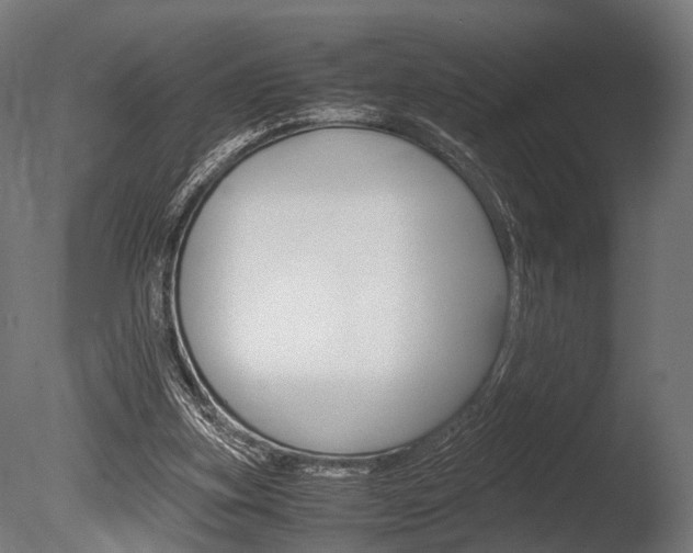 X0000086040155200703230903