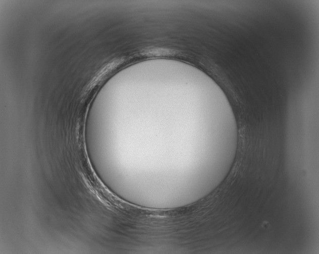 X0000086040159200703230903