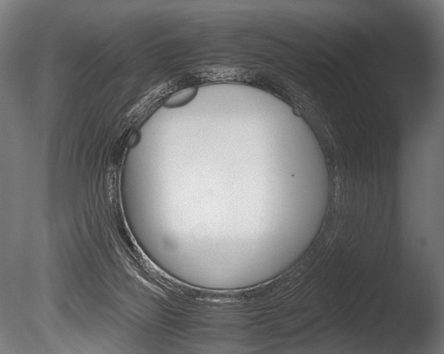 X0000086040165200703230903