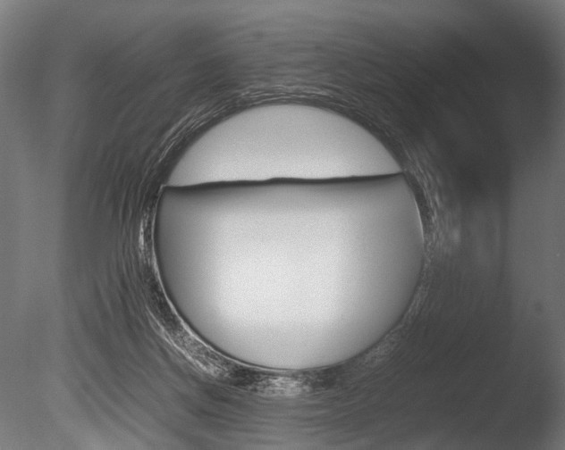 X0000086040166200703230903