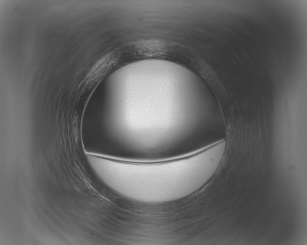 X0000086040170200703230903