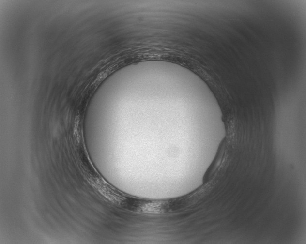 X0000086040178200703230904