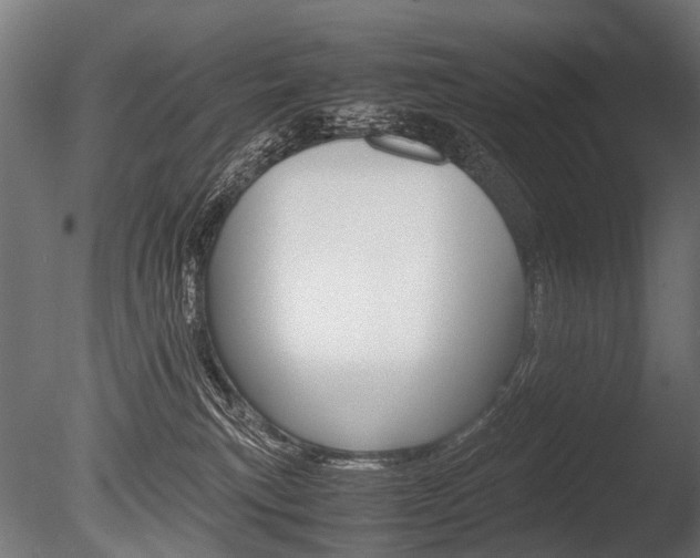 X0000086040183200703230904