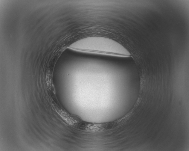 X0000086040186200703230904