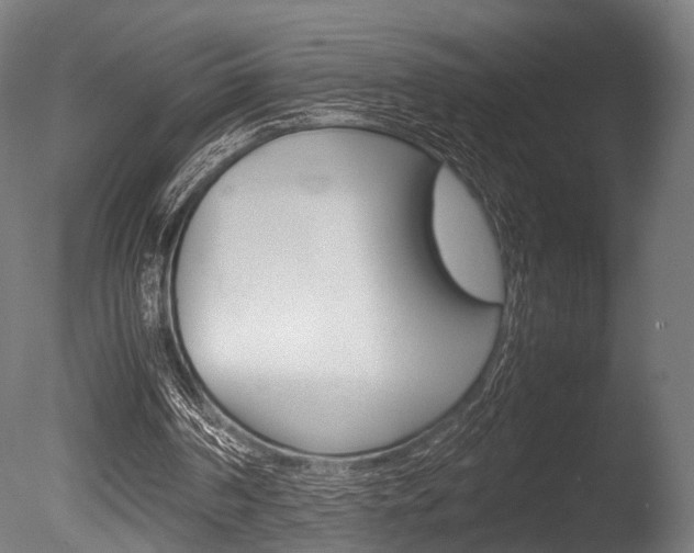 X0000086040194200703230903