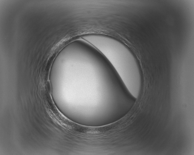 X0000086040203200703230903