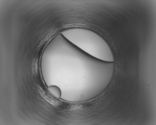 X0000086040206200703230903