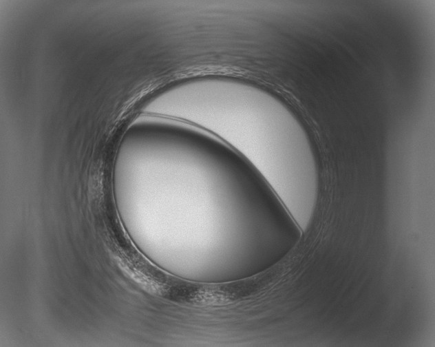 X0000086040207200703230903