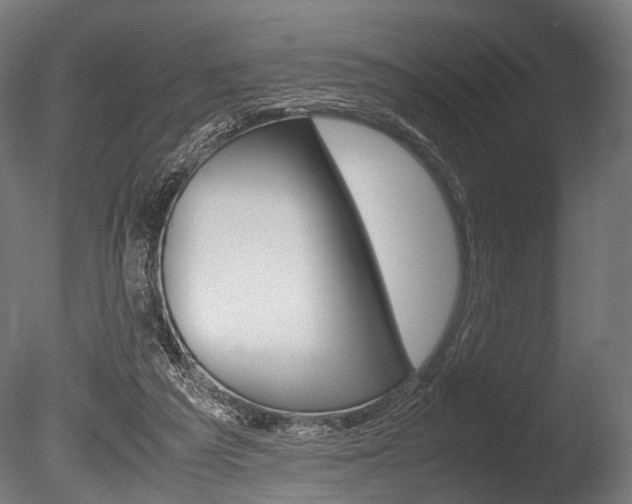 X0000086040209200703230903