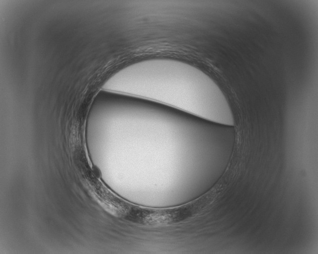 X0000086040213200703230903