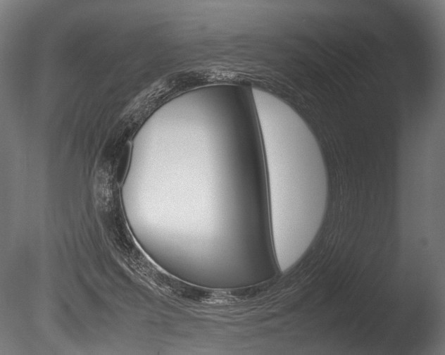 X0000086040215200703230903