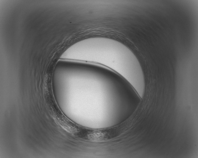 X0000086040217200703230903