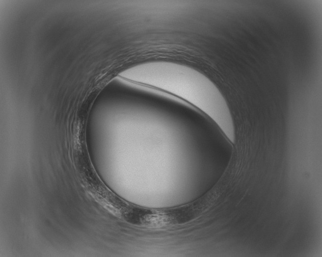X0000086040219200703230903
