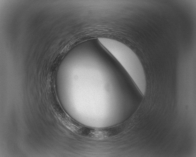 X0000086040221200703230903
