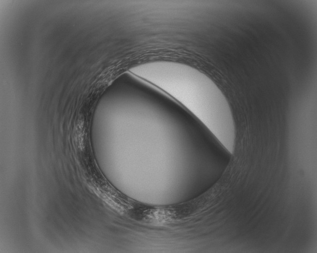 X0000086040223200703230902