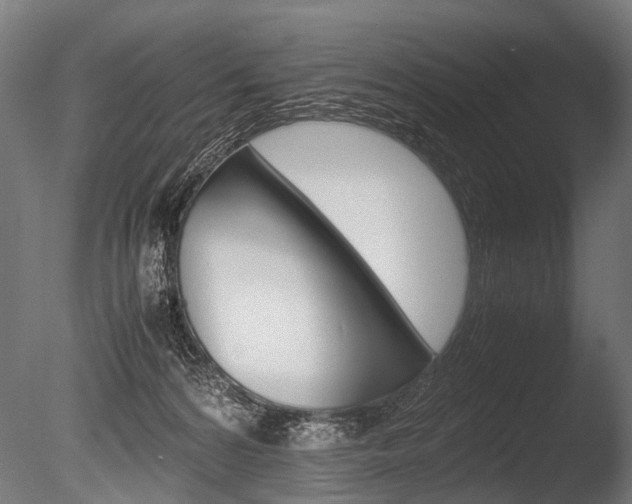 X0000086040224200703230902