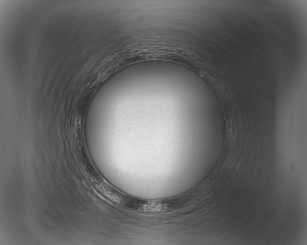 X0000086040225200703230902