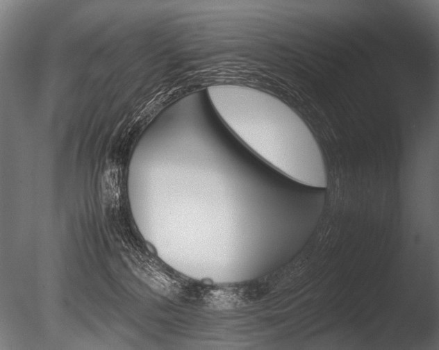 X0000086040232200703230902