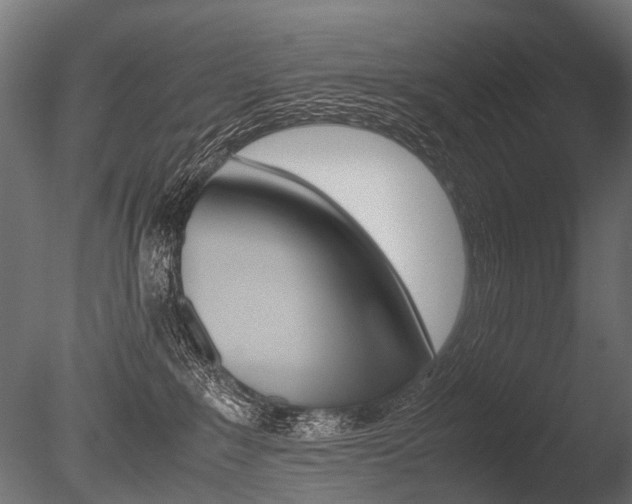 X0000086040235200703230902