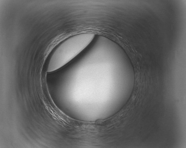 X0000086040242200703230901
