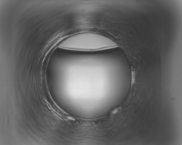 X0000086040243200703230901