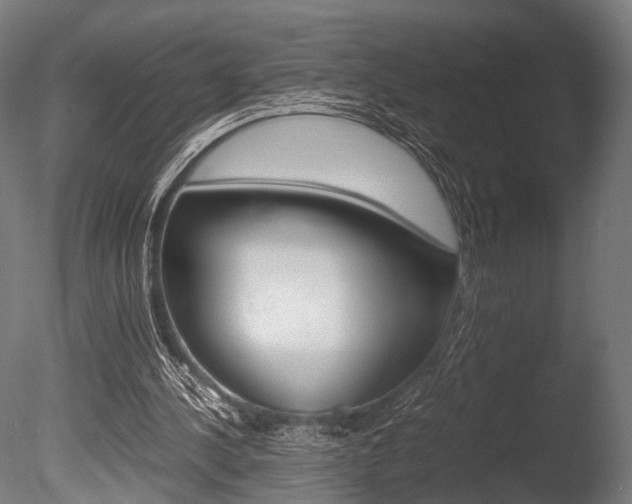 X0000086040244200703230901