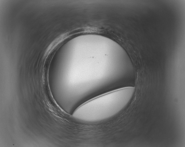 X0000086040247200703230901