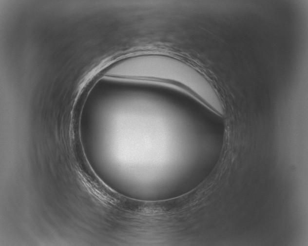 X0000086040248200703230901