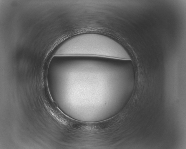X0000086040250200703230902
