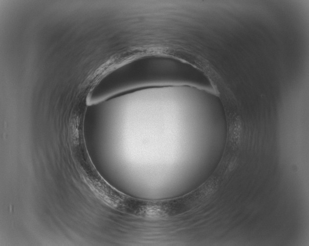 X0000086040264200703230902