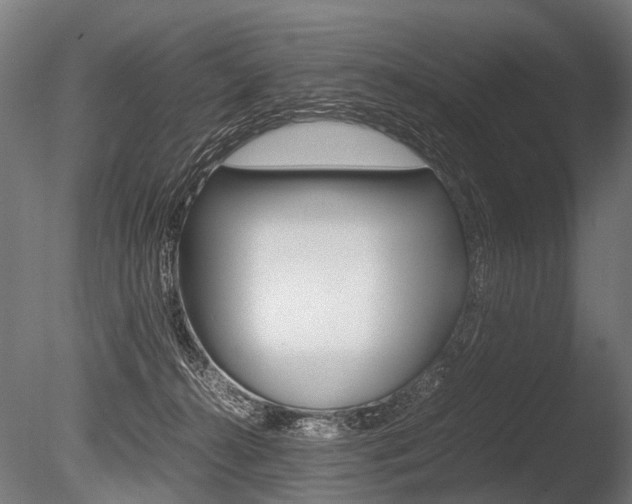 X0000086040272200703230902