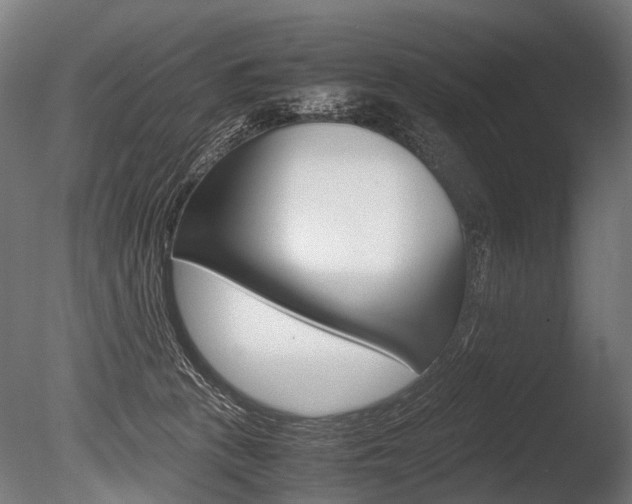 X0000086040273200703230902