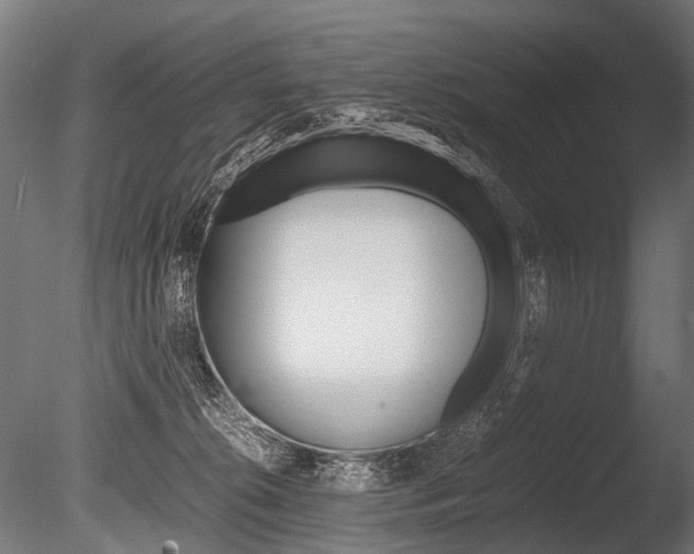 X0000086040276200703230902